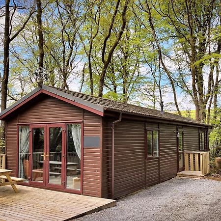 Woodland View -Hot Tub-Tenby-Carmarthen-St Clears Exterior photo
